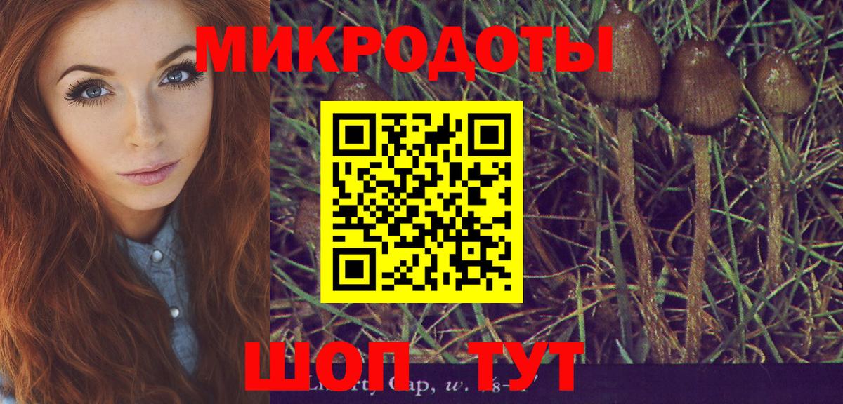 Галлюциногенные грибы мухоморы Медногорск