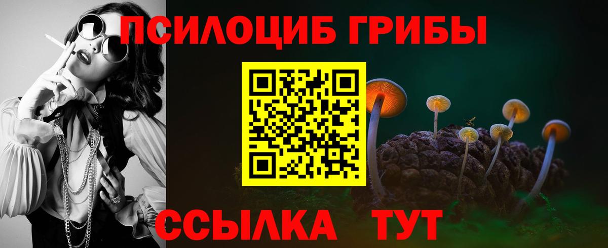 Медногорск  Галлюциногенные грибы мухоморы  Вход с VPN 
